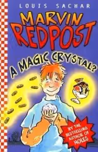 Cover of A Magic Crystal?