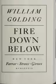 Cover of Fire Down Below