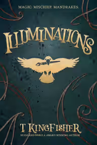 Cover of Illuminations