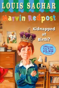 Cover of Kidnapped at Birth?
