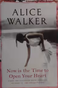 Cover of Now Is the Time to Open Your Heart