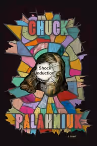 Cover of Shock Induction