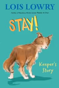 Cover of Stay!