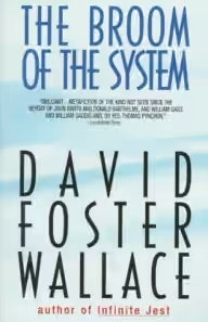 Cover of The Broom of the System