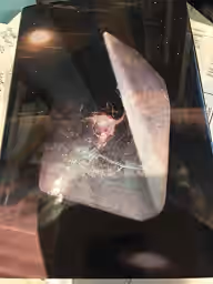 Cover of The Link